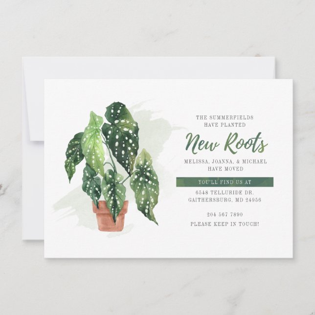 Nous avons déplacé Aquarelle Plantée Nouvelles Rac (Devant)