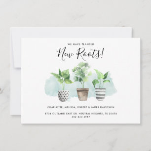 Nous avons déplacé les Plantes de nouvelles racine