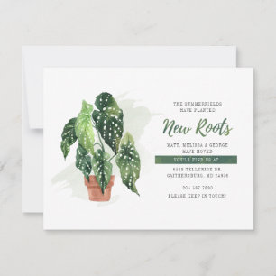 Nous avons déplacé planté de nouvelles racines Dép