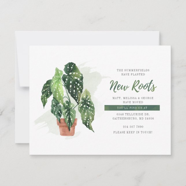 Nous avons déplacé planté de nouvelles racines Dép (Devant)