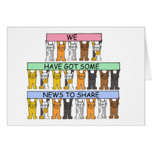 Nous avons des nouvelles pour partager des chats c