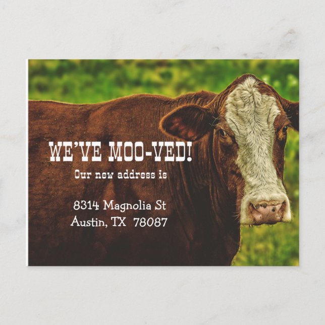Nous avons Moo-ved Moving Faire-part carte postale (Devant)