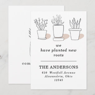 Nous avons planté de nouvelles racines Plantes en 