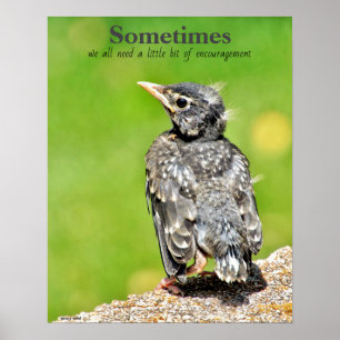 Nous Avons Tous Besoin D'Encouragement Poster En C