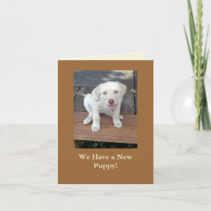 Nous avons un nouveau faire-part de chiot