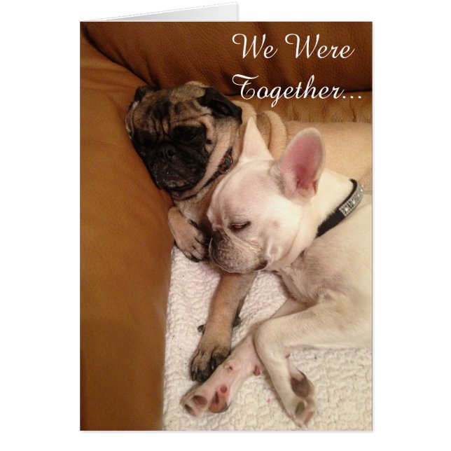 Nous étions ensemble… (Devant)