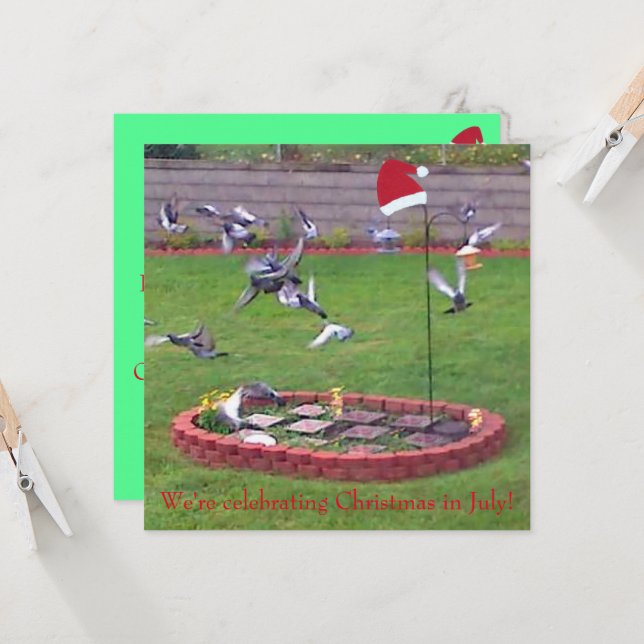 Nous fêtons Noël en juillet, invitations d'oiseaux (Devant/Arrière en situation)