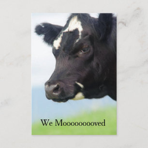 Nous invitation de Moooved