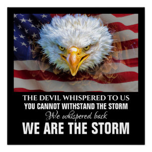 NOUS SOMMES LE POSTER DE STORM