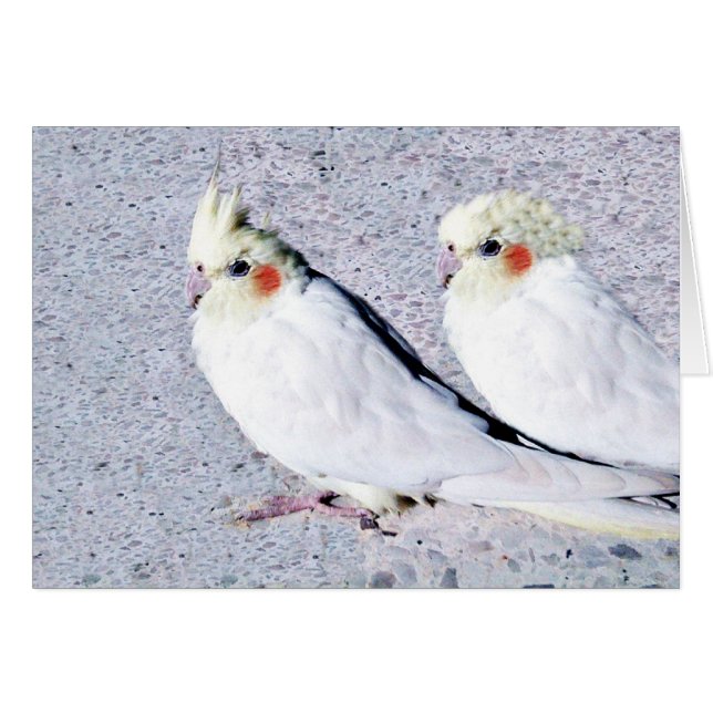 Nous t'aimons.JPG (Devant horizontal)