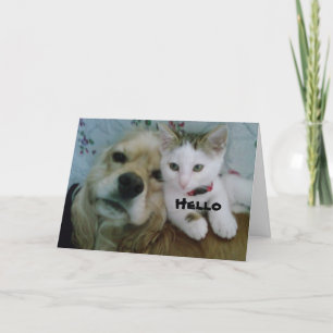 NOUS VOUS SOUHAITONS TOUS LES DEUX UNE CARTE "ANNI