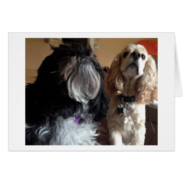 NOUS VOUS SOUHAITONS UN "ANNIVERSAIRE" TRÈS HEUREU (Devant horizontal)