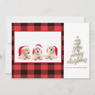 Nous Vous Souhaitons Un Joyeux Buffalo De Noël Pla