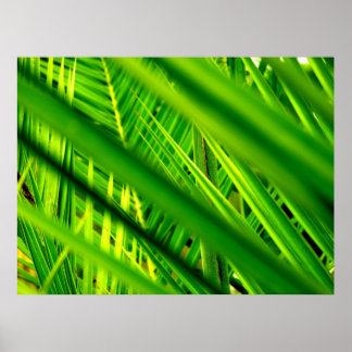 (Nouveau Arrivée) Affiche