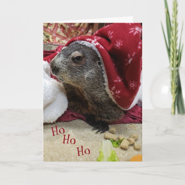 NOUVEAU ! ! ! Carte de Noël de la marmotte B (Devant)