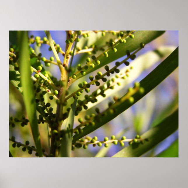 Nouveau Début dans l'ombre Poster (Devant)