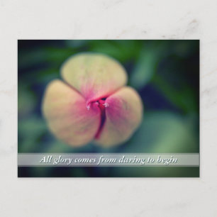 Nouveau Début Fleur Tulip Printemps Carte postale