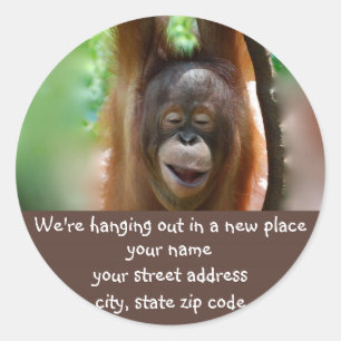Nouveau étiquette de adresse Hang Out