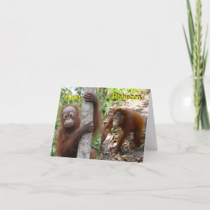 Nouveau Faire-part bébé