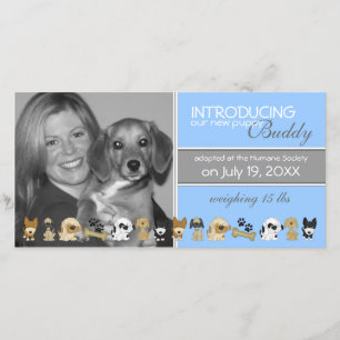 Nouveau faire-part d'adoption de chien