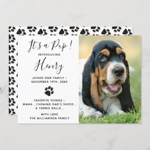 Nouveau Faire-part de chiot chien animal