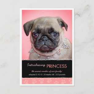 Nouveau faire-part de photo d'empreintes de pattes