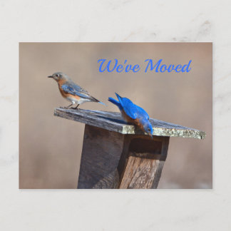 Nouveau Faire-part résidentiel