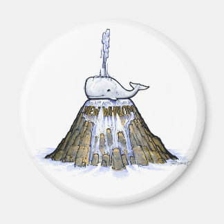 Nouveau Magnet de fontaine de balais