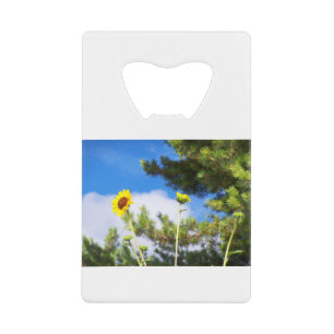 Nouveau-Mexique Tournesol des Prairies