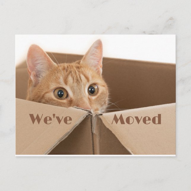 Nouveau rappel d'adresse, nouvelle carte postale (Devant)