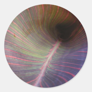 Nouvel autocollant de ~ de feuille de Canna