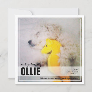 Nouvelle adoption de chiot   Faire-part PET