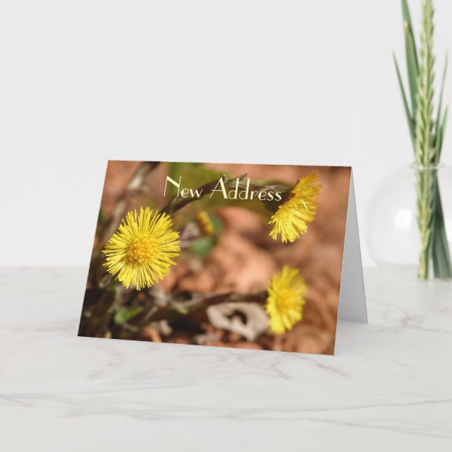 Nouvelle carte d'adresse Dandelion (Devant)