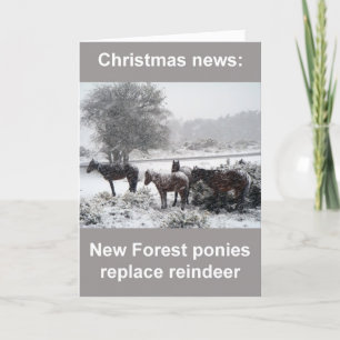 Nouvelle carte de Noël de poneys de forêt