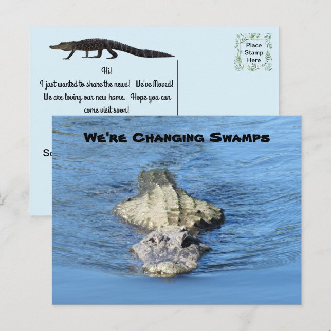 Nouvelle carte postale Alligator (Devant / Derrière)