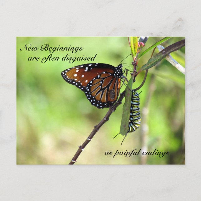 Nouvelle carte postale de début (Devant)