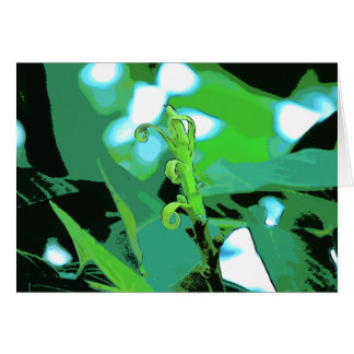 Nouvelle croissance POP