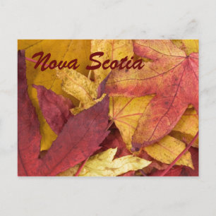 Nouvelle-Écosse Feuilles d'automne Carte postale