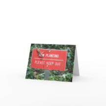 Nouvelle plantation avec la carte de note de Gecko