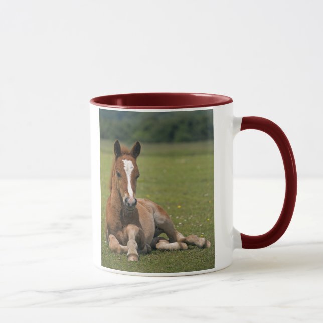 Nouvelle tasse de poulain de forêt (Droite)