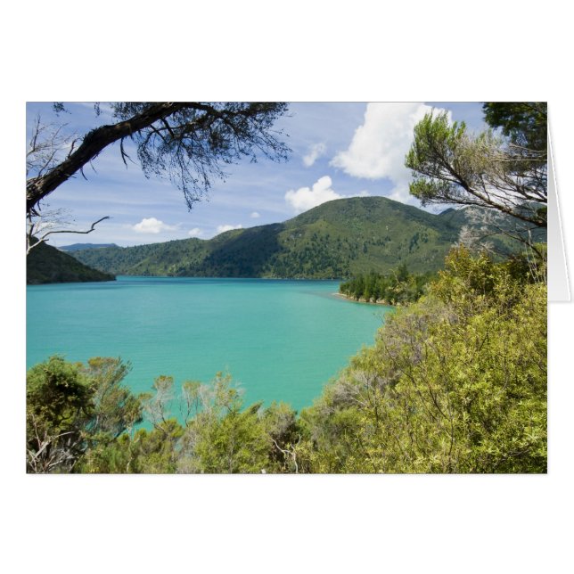 Nouvelle-Zélande, île du Sud, Marlborough Sounds. (Devant horizontal)