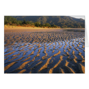 Nouvelle-Zélande, Parc national Abel Tasman, Côte