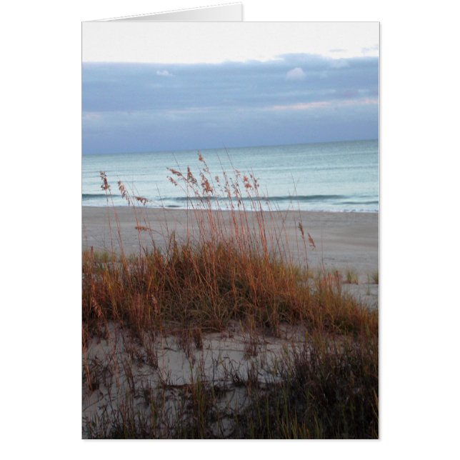 Nouvelles dunes (Devant)