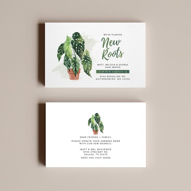 Nouvelles racines Changement d'adresse Faire-part  (Créateur téléchargé)