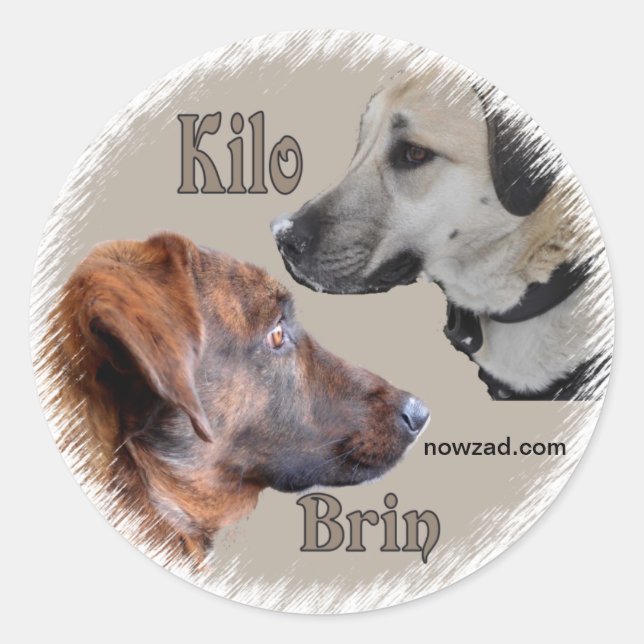 Nowzad Secourt Chiens Brin & Kilo Sticker (Devant)
