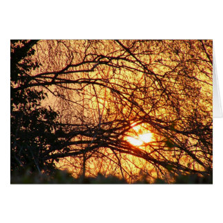 Noyau du lever du soleil