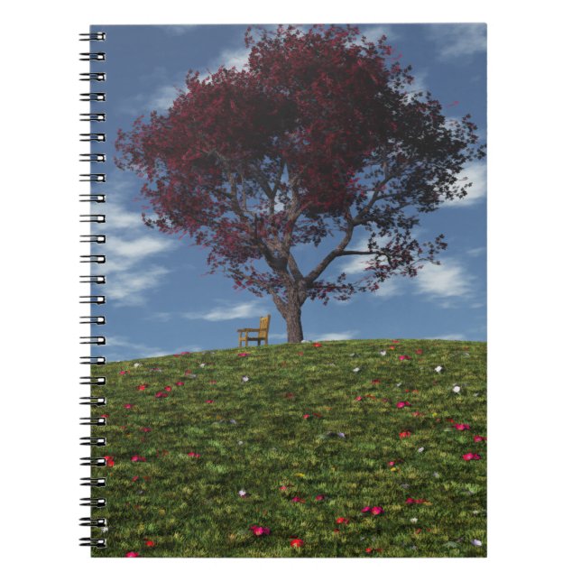 Nuages Aller Voile Par Carnet (Devant)