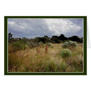 Nuages et hautes herbes OBX