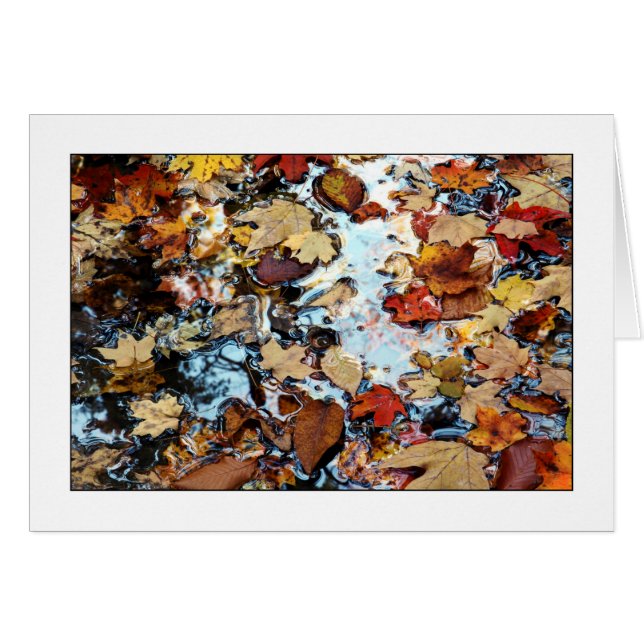 Nuances d'automne (Devant horizontal)