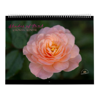 Nuances de rose Calendrier 12 mois